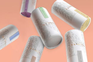 日用品包裝與廚具衛(wèi)具批發(fā) 現代生活中的商業(yè)機遇