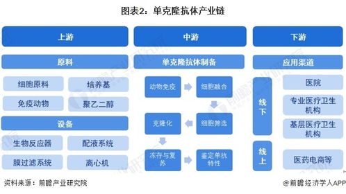 預(yù)見2024 中國單克隆抗體行業(yè)全景圖譜及計算機軟硬件開發(fā)的融合趨勢